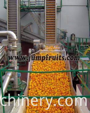 Automatic fruit juice processing plant 